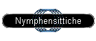 Nymphensittiche