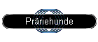 Prriehunde