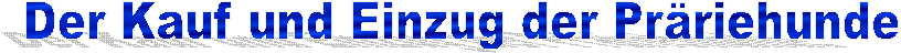 Der Kauf und Einzug der Prriehunde